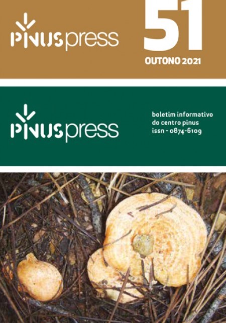CONHEÇA OS INDICADORES DA FILEIRA DO PINHO EM 2020